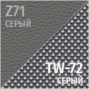 Z Серый/TW-72 серый