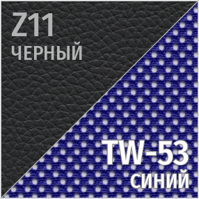 Z Черный/СеткаTW-53 синий